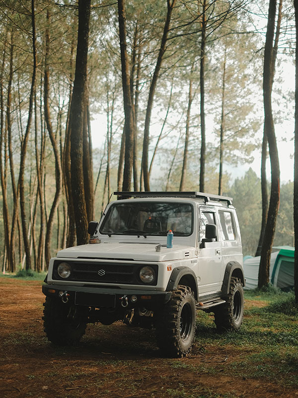 suzuki-bologna