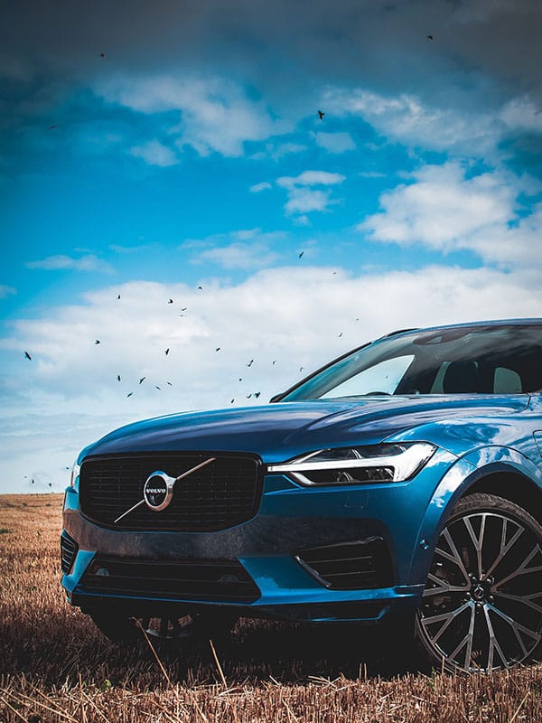 vendita-auto-volvo-bologna